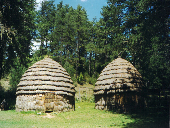 Γυφτόκαμπος 2002